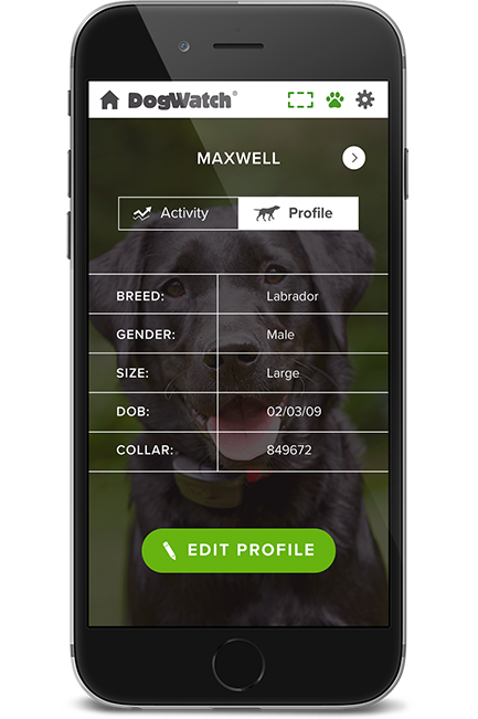 DogWatch of Memphis, Henderson, Tennessee | SmartFence WebApp Image